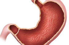 Mide Özellikleri ve Faydaları Nelerdir?